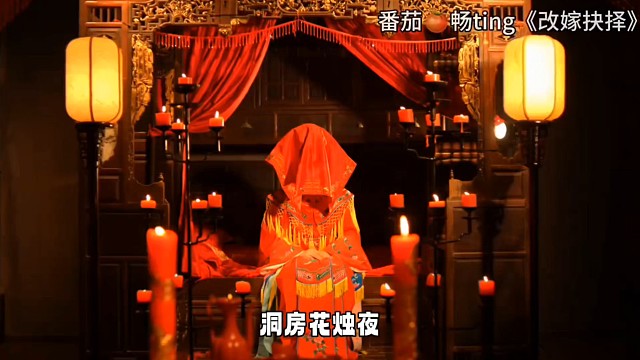 番茄畅ting搜《改嫁抉择》看全文