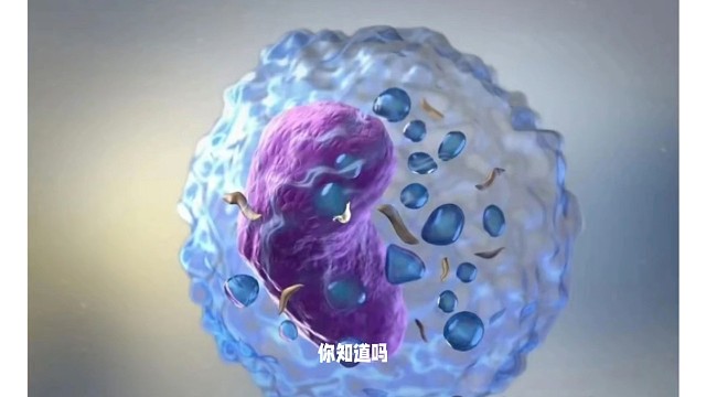 NK 细胞回输真的很有必要#希诺赛细胞存储