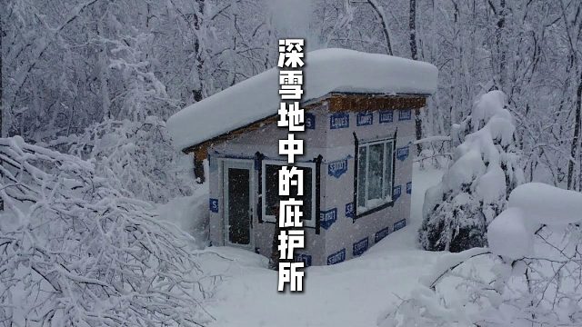深雪地中的庇护所