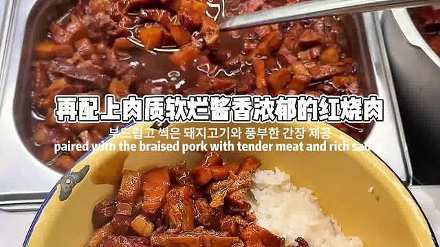 红烧肉卤肉盖浇饭