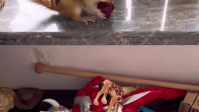 两个活宝吓死我了，下次不可以了