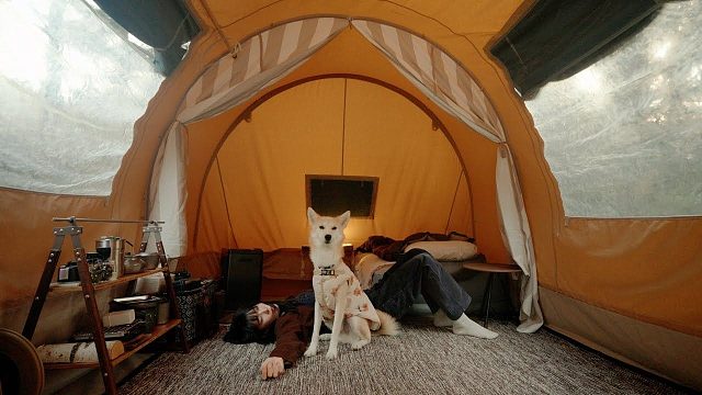 独自长期露营 | -7°C温暖的木炉帐篷 | 露营Vlog | 蛋煮天堂与辛辣拉面炸饺子