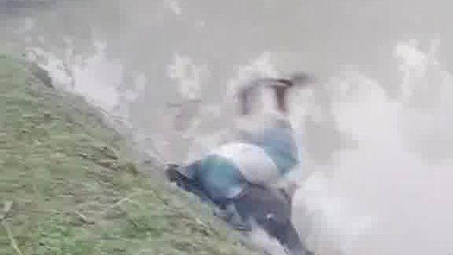 笑不活了哇！老外搞怪恶搞来撒野