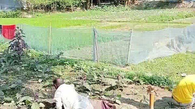 惊现！老外独特趣味玩法库