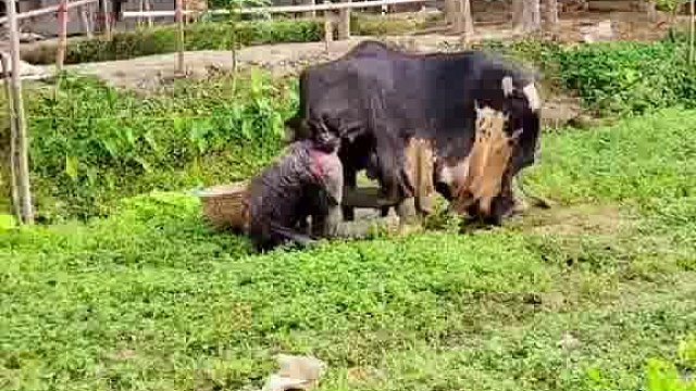 笑岔气哇哦哦哦！老外的奇妙玩法