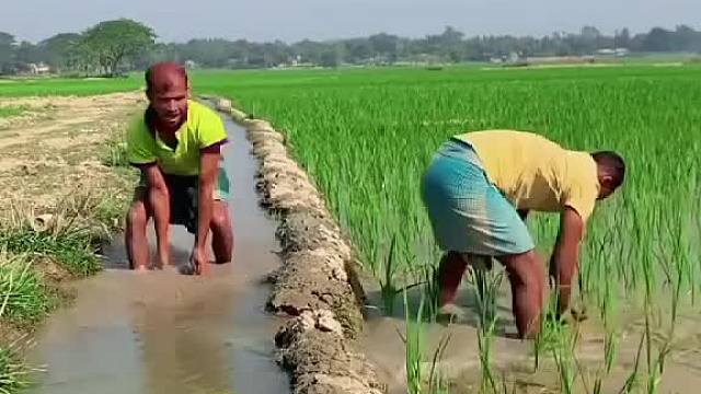 笑到打滚哇！老外神奇的玩法