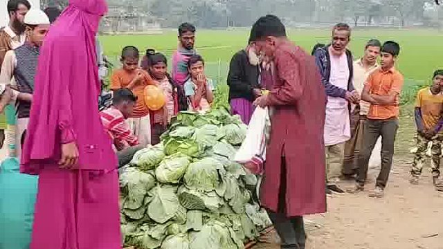 探秘老外，新奇欢乐恶搞的奇幻宇宙