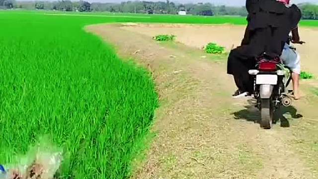 谁能懂啊！老外玩法笑疯我