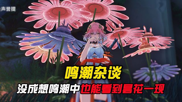 没成想在鸣潮中还能看到昙花一现呐？？