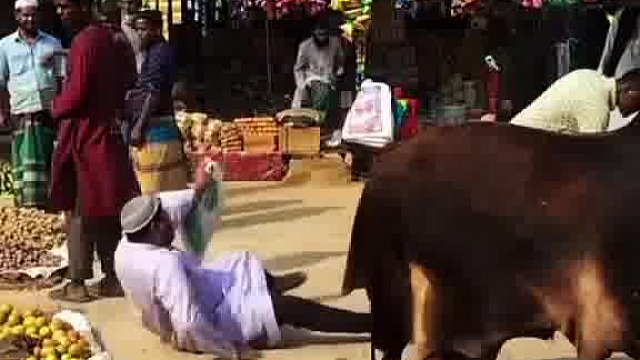 麻了麻了哟！老外玩法真逗哇