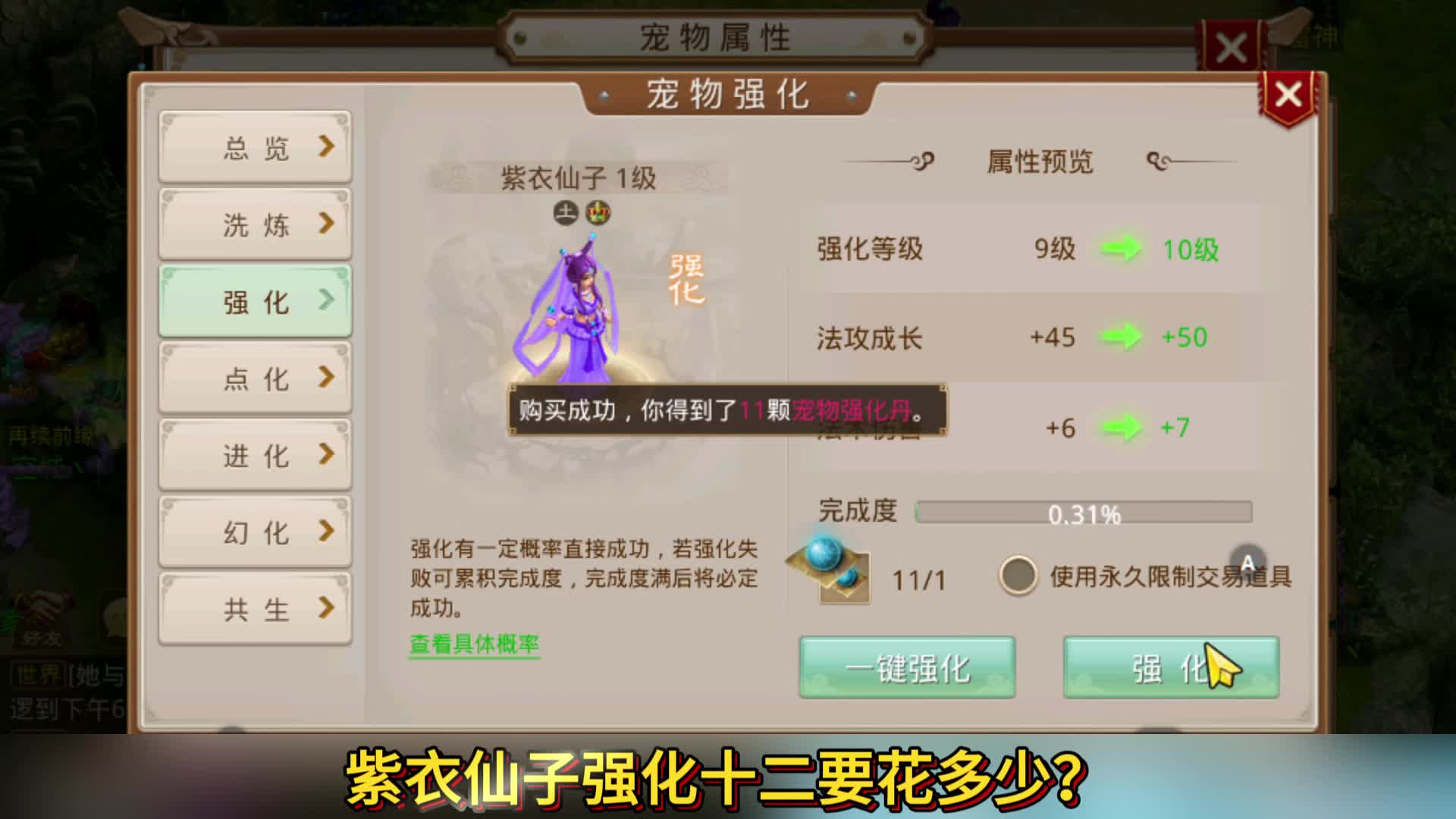 紫衣仙子强化十二要花多少钱呢？