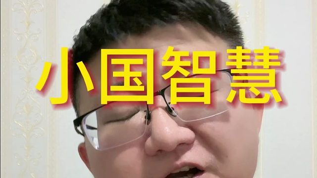 小国智慧