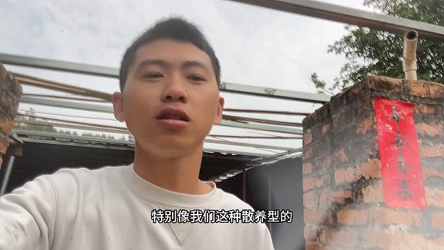 小伙回乡创业养两千多海鸭，一个月开支3万打底，一年要花36万