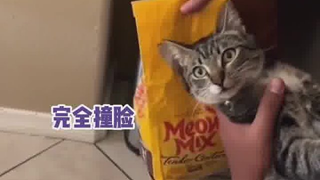 它名下的资产可能比你还要多