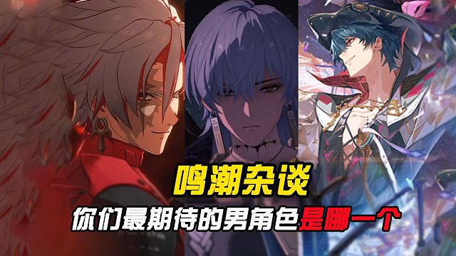 鸣潮那些还没上线的男角色，你们最期待哪一个？