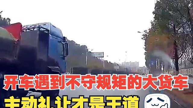 开车遇到不守规矩的大货车，就别去抱幻想，主动礼让才是王道