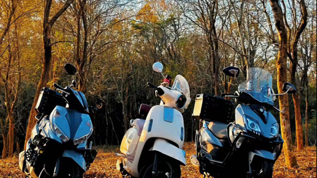 似乎一切都得往前走