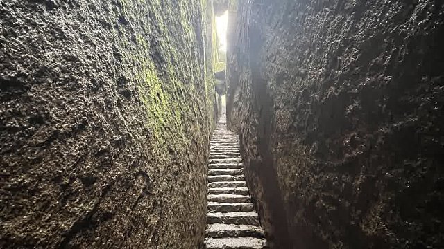 创业公司的生存法则要么进化要么被淘汰