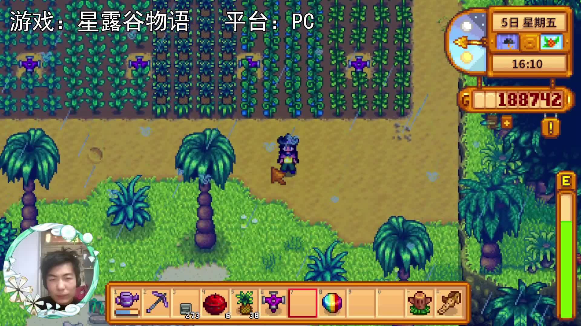 【星露谷物语】南瓜灯！