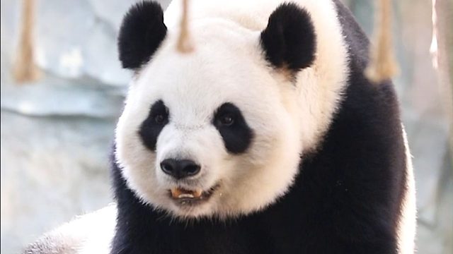 女儿太可爱怎么办？是亲妈滤镜不