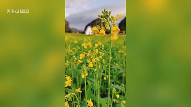 醉美清远动车三天温泉度假团