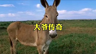 這女學(xué)生也太好騙了