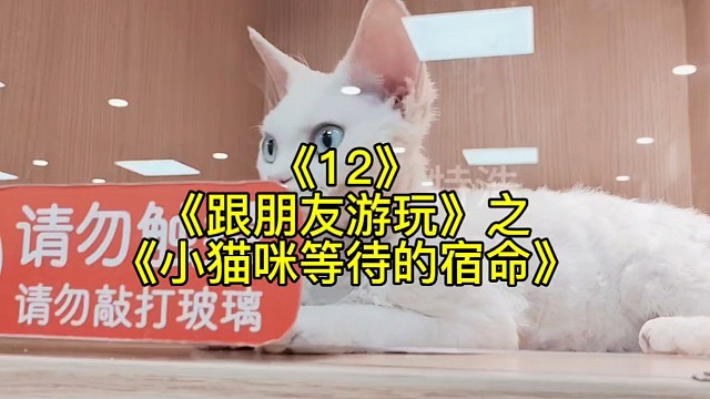 《跟朋友游玩12之小猫咪等待的宿命》看似很温馨，其实是个牢笼