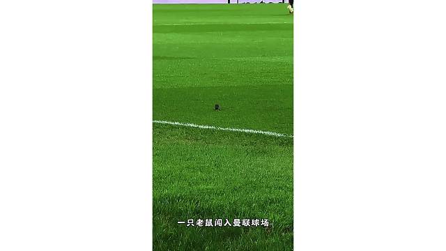 英超最炙手可热的组合，拉什福德和阿森西奥