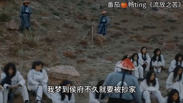 番茄畅ting搜索《流放之苦》阅读后续哦[调皮]