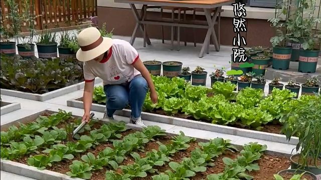 看着小小种子到满园瓜果，比吃菜更幸福