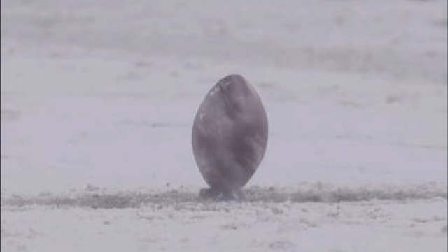 因为太雷人了先道歉我们爱老黑有自己的ditto，好喜欢白色球衣和雪地融为一体，人像场上的幻影一样看不