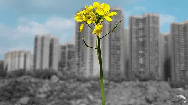 创业是一场充满挑战与机遇的旅程