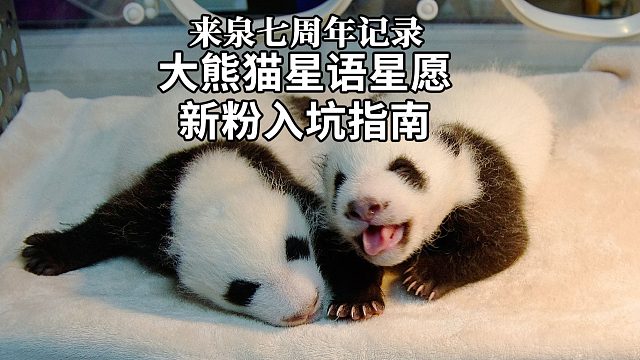 你们好呀~我叫星语