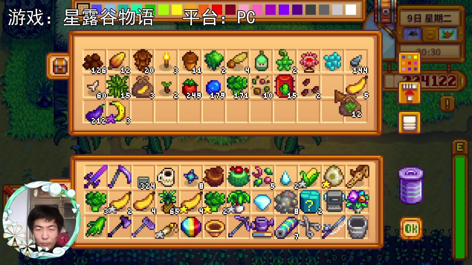 【星露谷物语】农夫的寂寞，农夫的落寞！