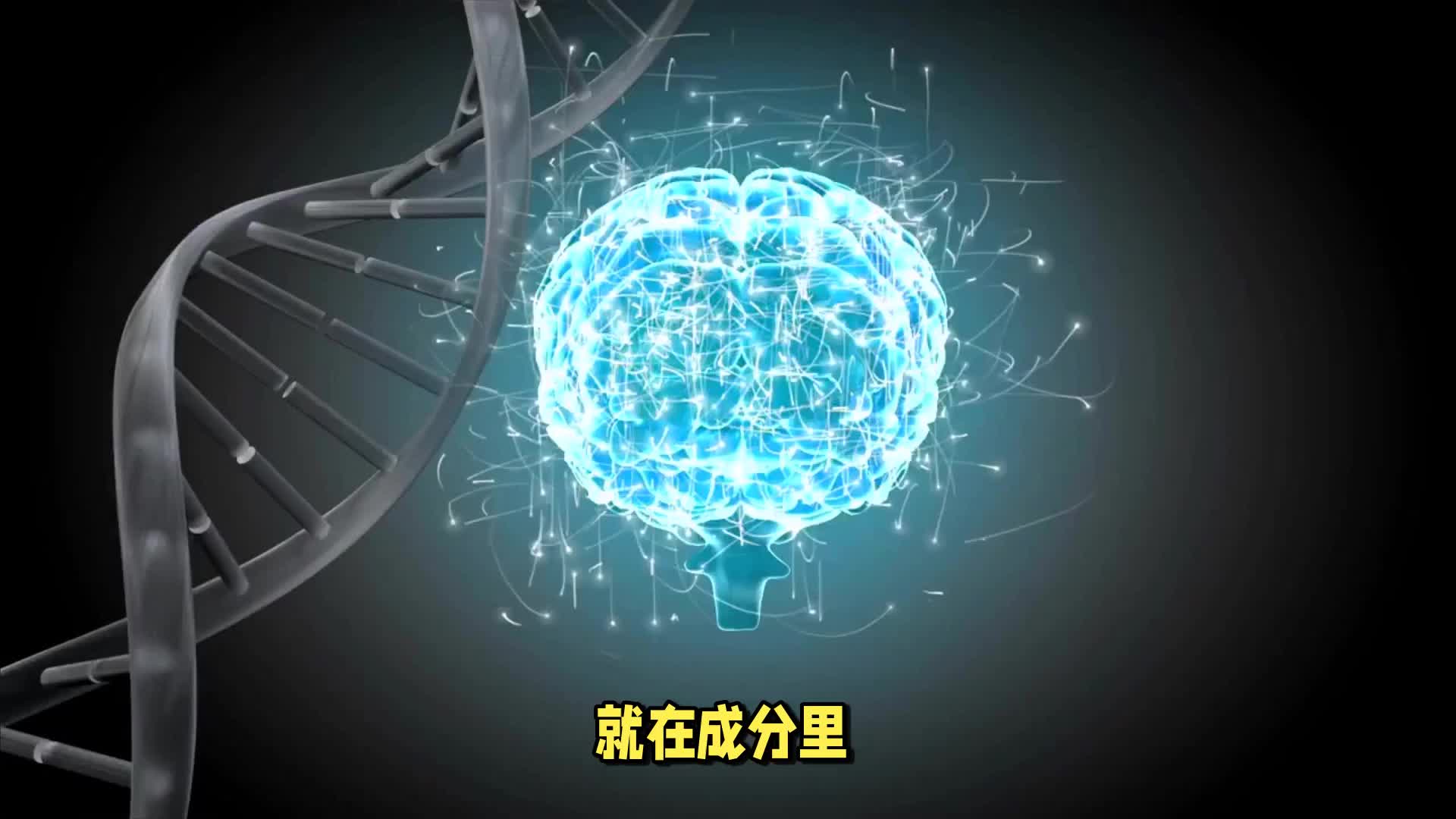 考前大脑短路？给大脑加速，轻松冲刺！