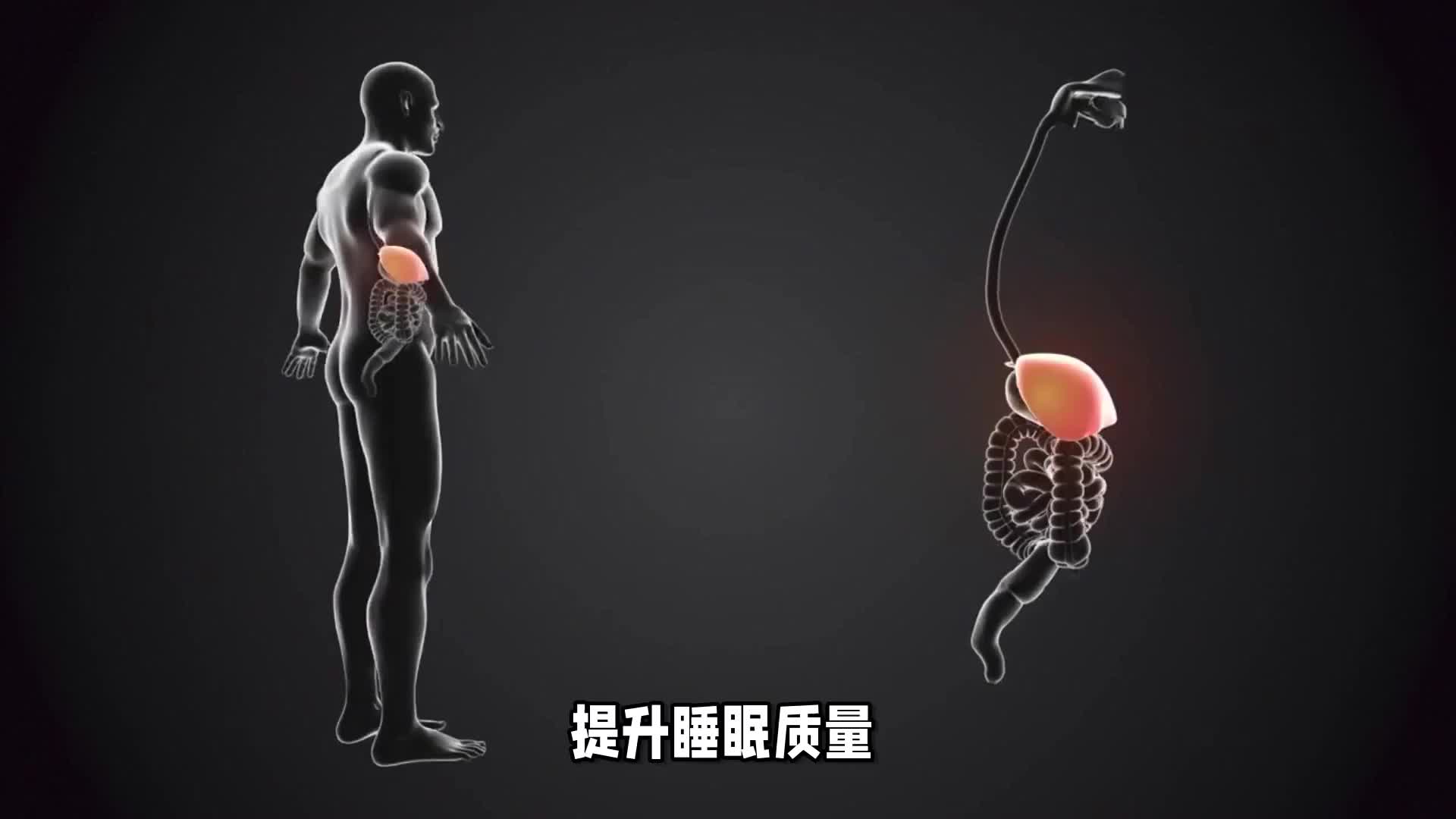 熬夜爆肝？速来内服护肝，打工人的救赎