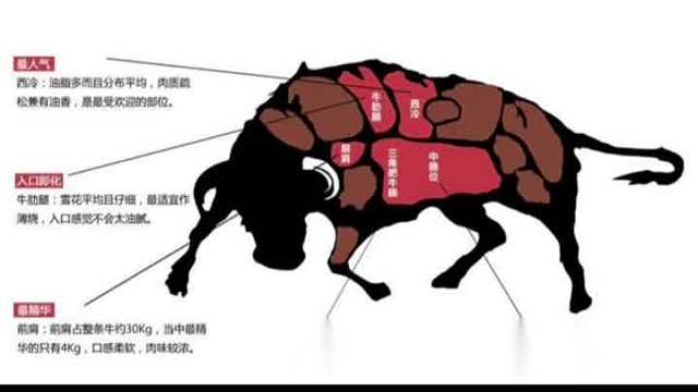 了解肌营养不良