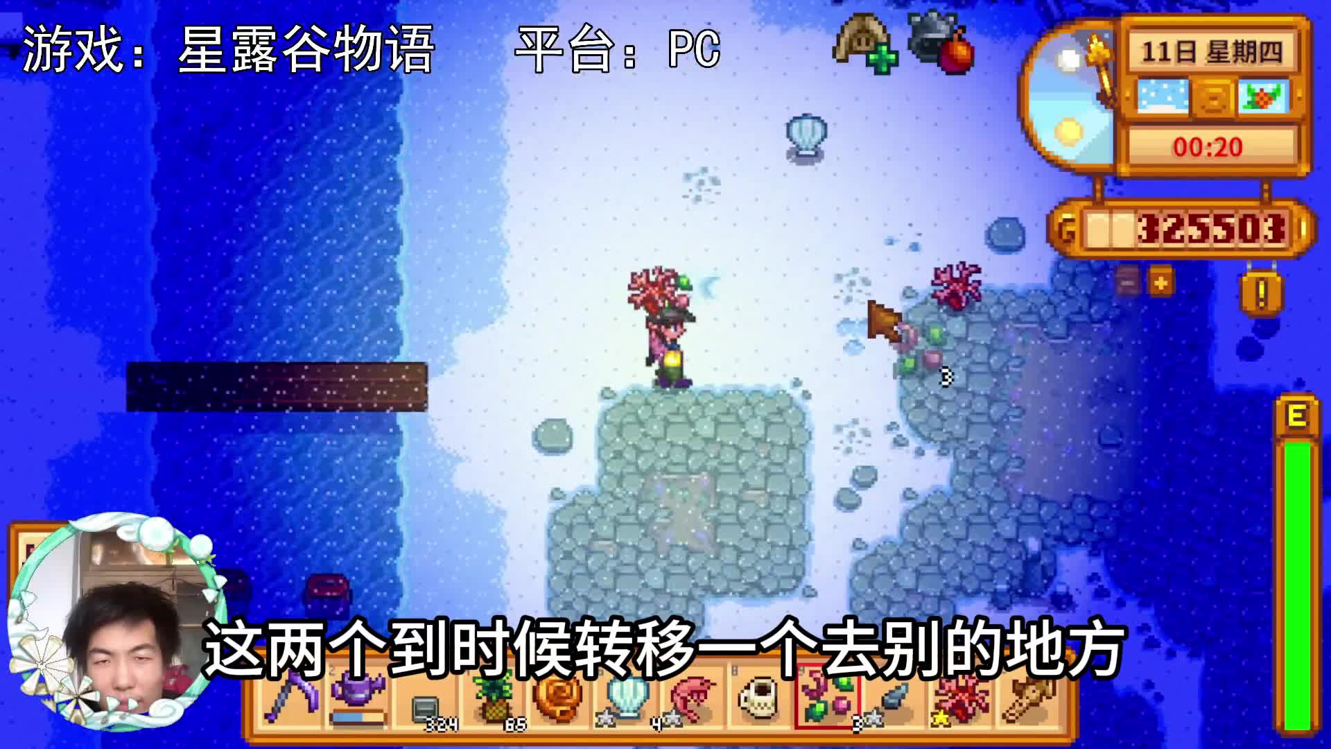 【星露谷物语】终于出龙虾了！