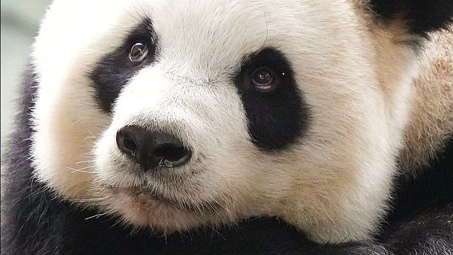 任何花期，都是最美的你