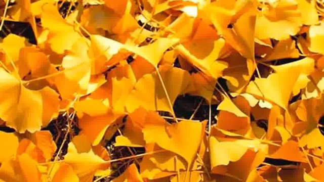 创业是一场自我修行通过挑战和失败不断成长