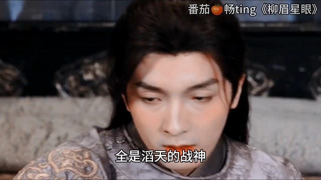 番茄畅ting搜索《柳眉星眼》阅读后续哦！