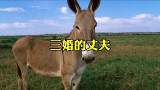 晚上睡覺(jué)不穿衣服睡得很舒服啊我感覺(jué)，我也不喜歡穿