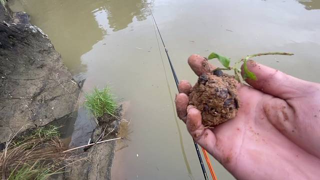 蚯蚓剪碎打窝怎么样