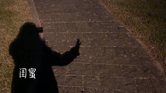 有趣的人不在多，一两个足矣