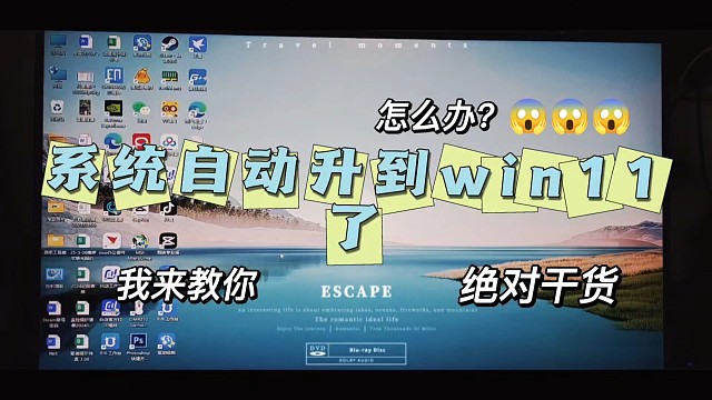win10系统自动升级到win11解决办法