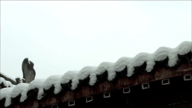 创业不仅是为了追求财富更是为了实现自我价值和探索未知可能