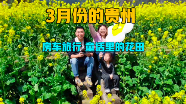 3月份的贵州，美的像一幅画，一家三口房车旅行进入童话里的花田