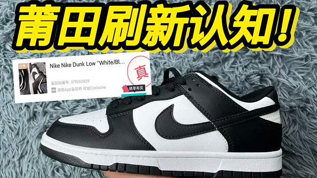 莆田199￥入手的熊猫dunk，开箱后....刷新认知了！！！！！