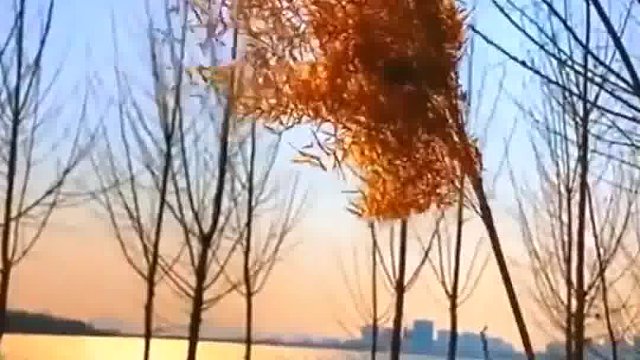 踏上创业征途让青春在奋斗中绽放光彩