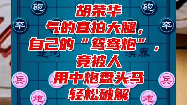 胡荣华气的直拍大腿，自己的鸳鸯炮竟被人用中炮盘头马轻松破解